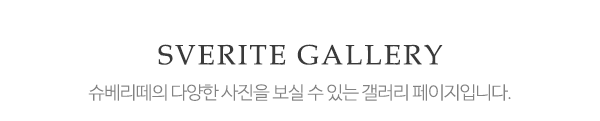 슈베리떼_사진_제목